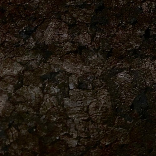 Achterwand Kurk Donker, 100x50x2 cm.1st